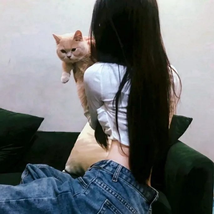 兔子谜题